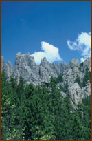 View of the Black Hills of South Dakota