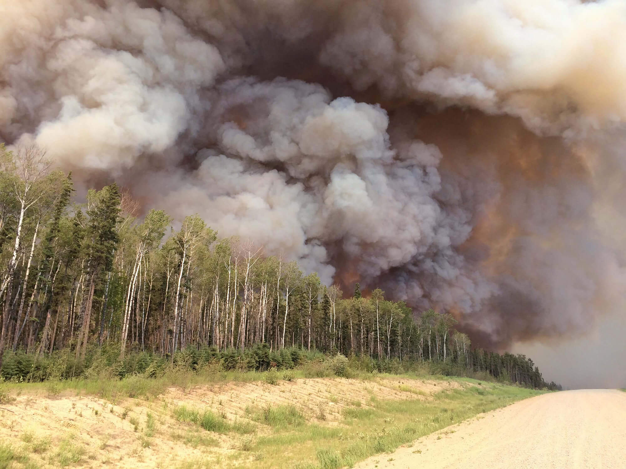 Trees in Canada on fire