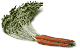 Carrots