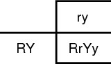 F1 Punnet square.