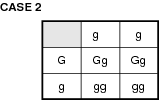 Case 2 (half green, half white).