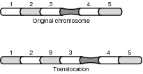 Translocation.