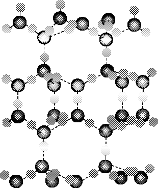 The dotted lines in this structure correspond to the intermolecular forces holding the water molecules together in the crystal.