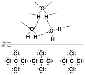 Water doesn't dissolve carbon tetrachloride because the strong interactions between water molecules are more important than the weak interactions between water and carbon tetrachloride.