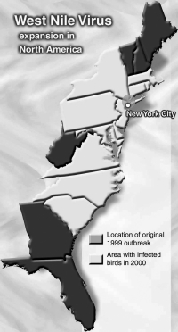 West Nile virus expansion in North America.