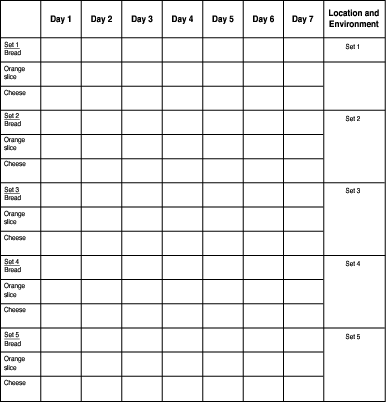 Keeping track of mold growth for the first week.