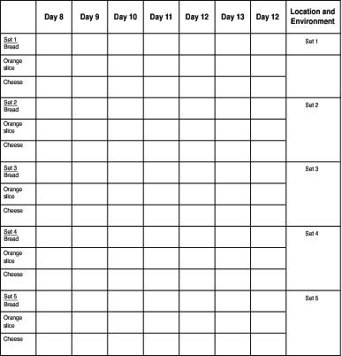 Keeping track of mold growth for the second week.