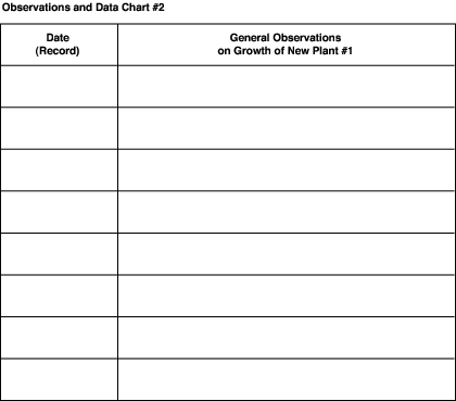 Copy this chart, or create a separate chart for each of the five stems, and use them to record general observations during the weeks of new growth.