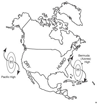 Heat-wave pattern.