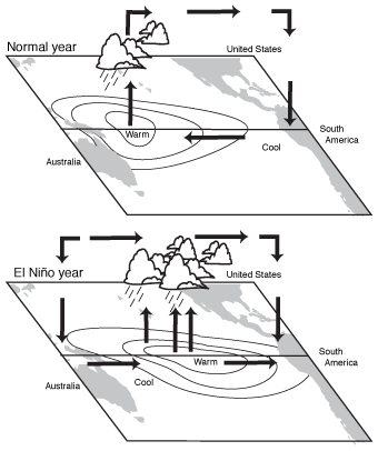 Ocean-atmosphere feedback.