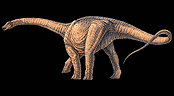 Argentinosaurus