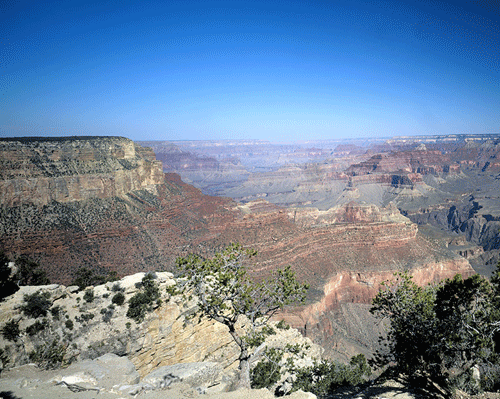 Grand Canyon Vista