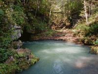 Greer Spring, Mark Twain National Forest, Missouri