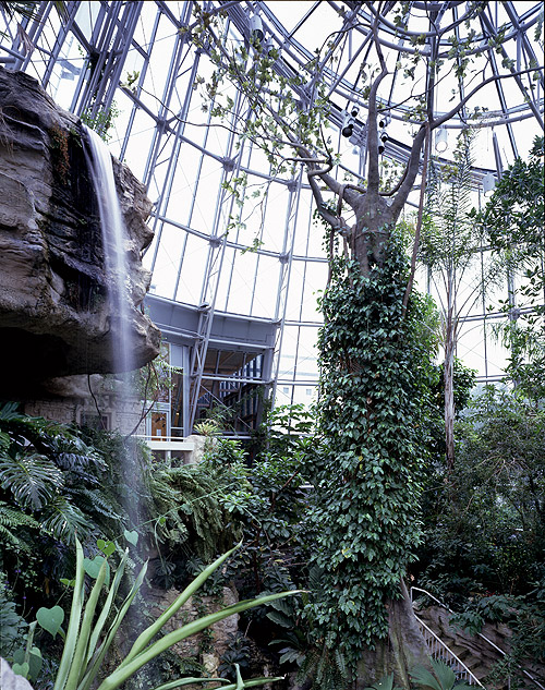 The Houston Museum of Natural Science