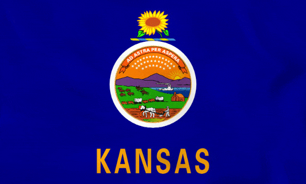 Kansas flag