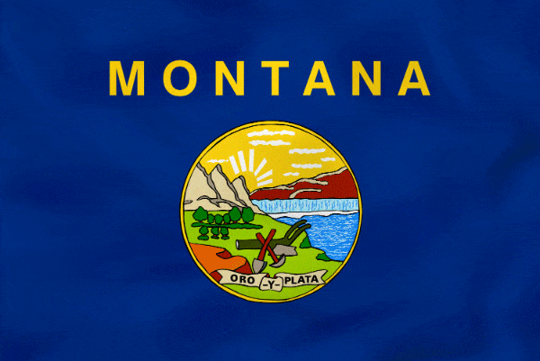 Montana flag