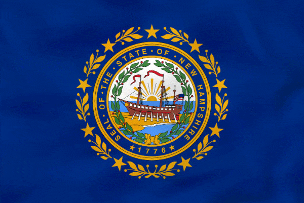 New Hampshire flag