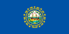 State flag of New Hampshire