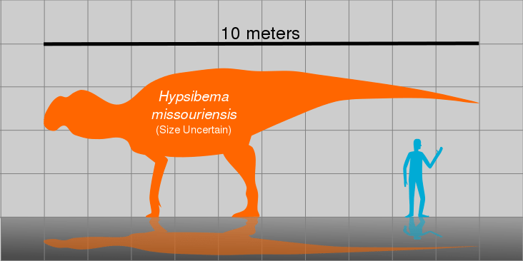 Hypsibema Missouriensis