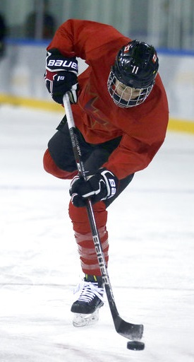 2018 Winter Olympics Pyeongchang Ice Hockey