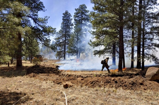 Arizona wildfires