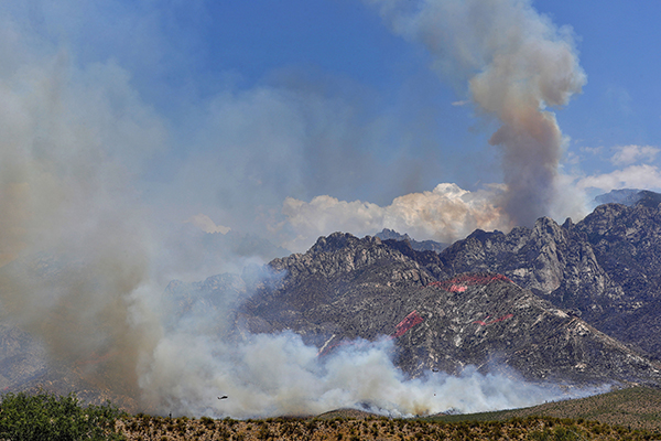 Arizona Fire