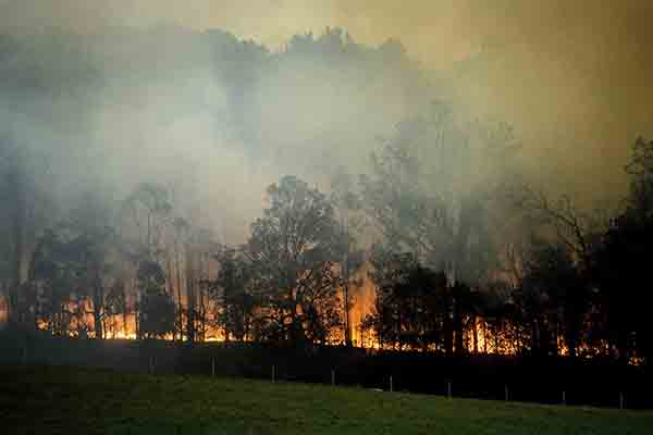 Australia Bushfire