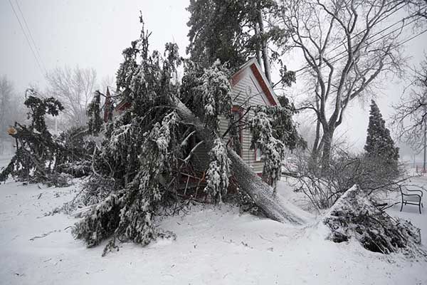 Bomb Cyclone