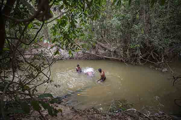 Brazilian Amazon