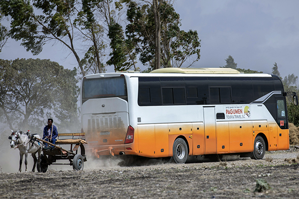 Bus Crash