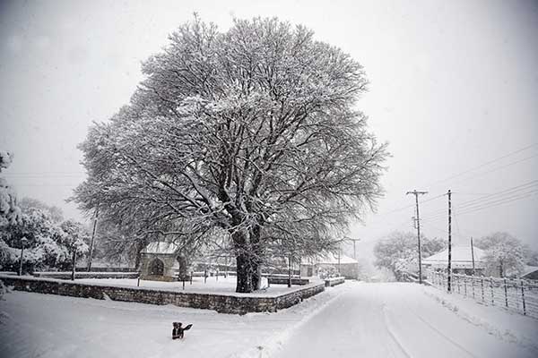 Greece Blizzard