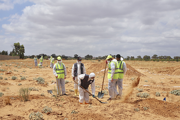 Libya Graves