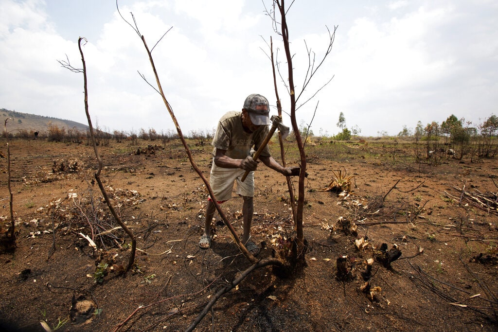 Madagascar deforestation