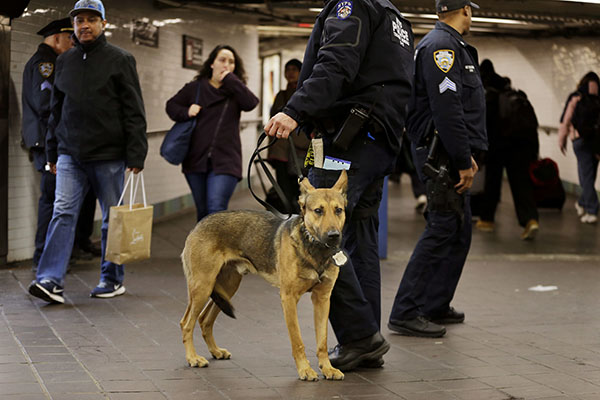 NYC Subway after the attempt