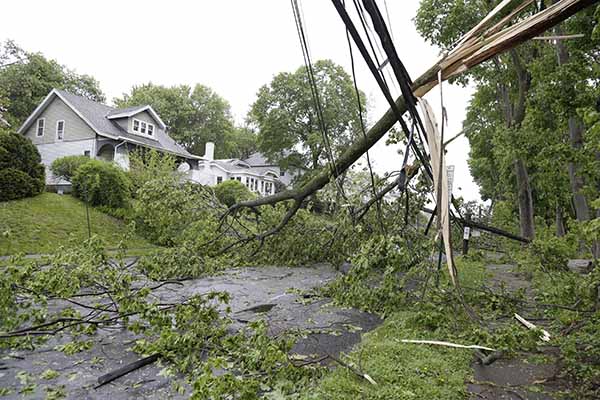 Northeast Storm