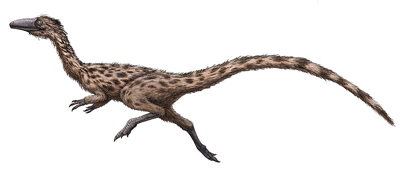 podokesaurus