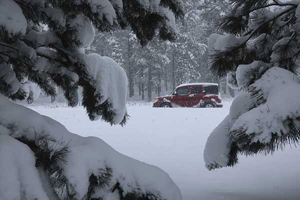 Record Snowfall