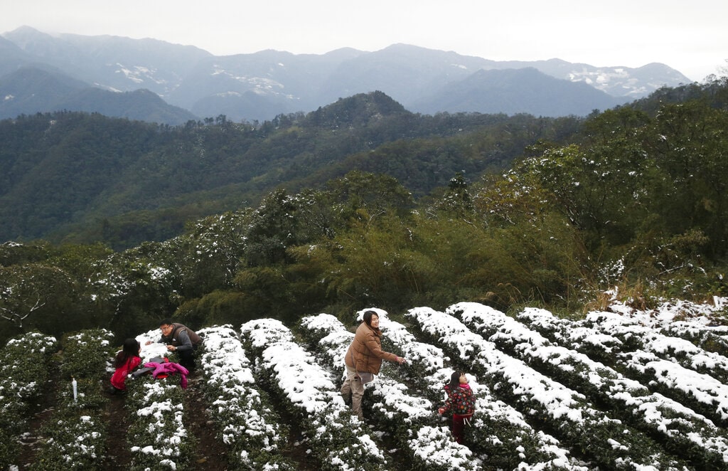 Asian cold front