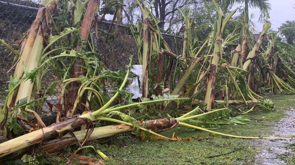 Typhoon Mawar