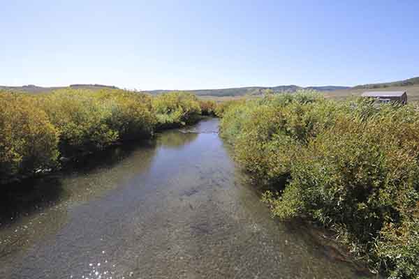 Utah Fish Drop