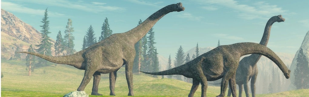 Brachiosaurus