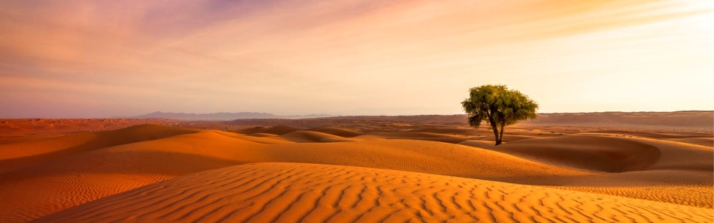 Oman desert