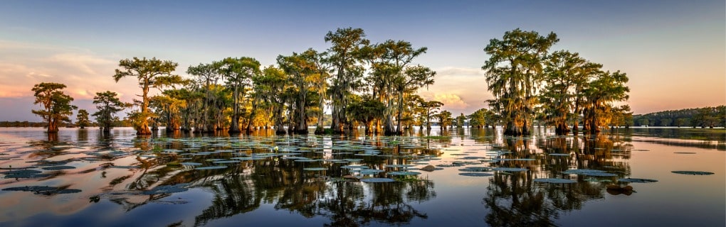 Caddo Lake