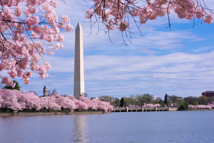 Washington Monument, D.C.