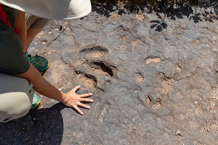 Dinosaur footprints