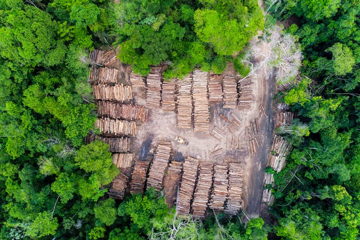 Amazon Deforestation