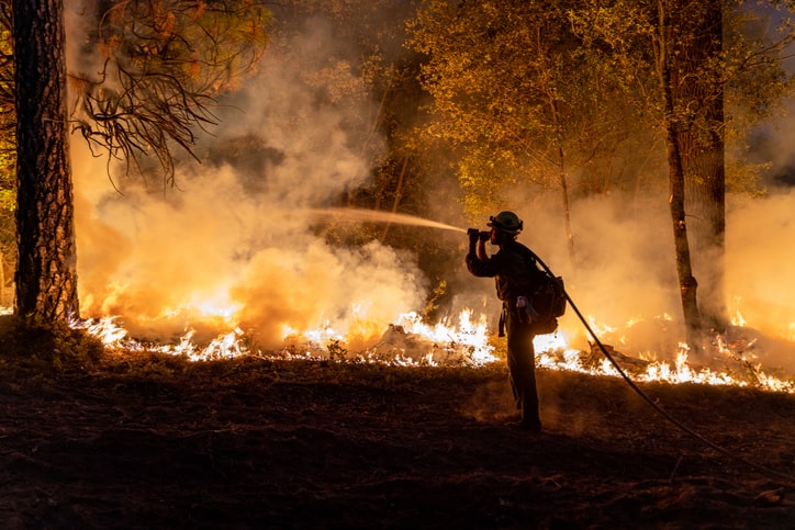 Wildfires and fireman