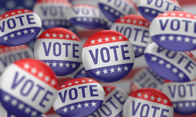 USA Flag And Vote Badge