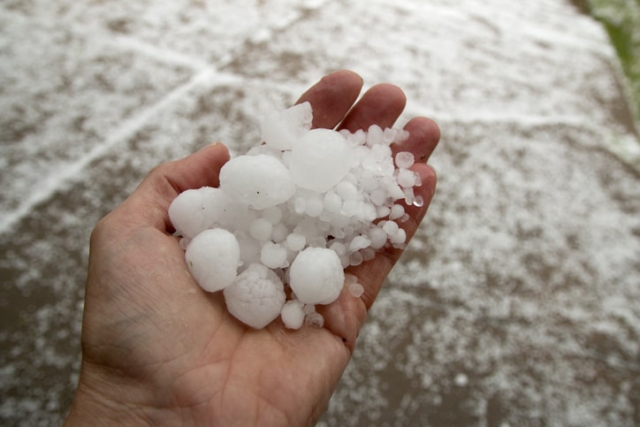 Hand holding quarter sized hail stones