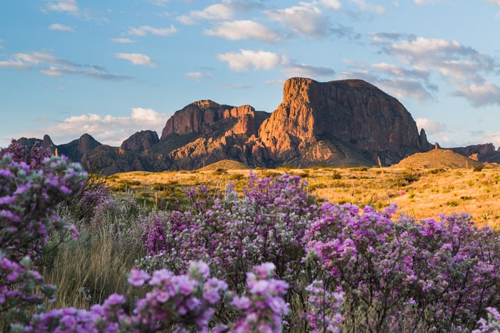 Big Bend National Park